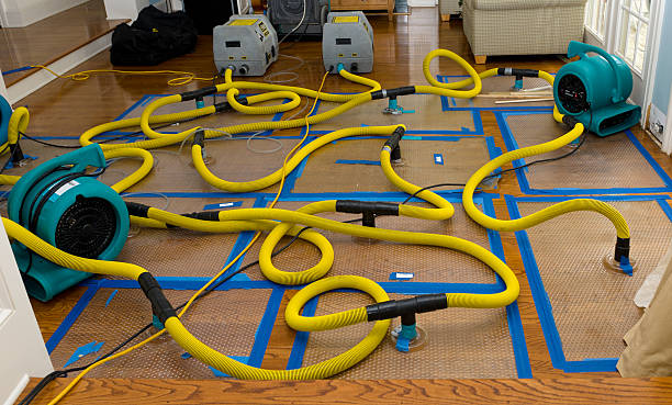 Professional Structural Drying And Dehumidification technician working in Marcus Hook, PA